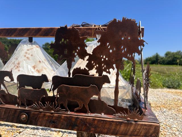 Chandelier Brahma Cattle Drive Palm Trees Palmettos Sheepskin Shades Cowboy Cow Steer Barn Wood Frame Handmade
